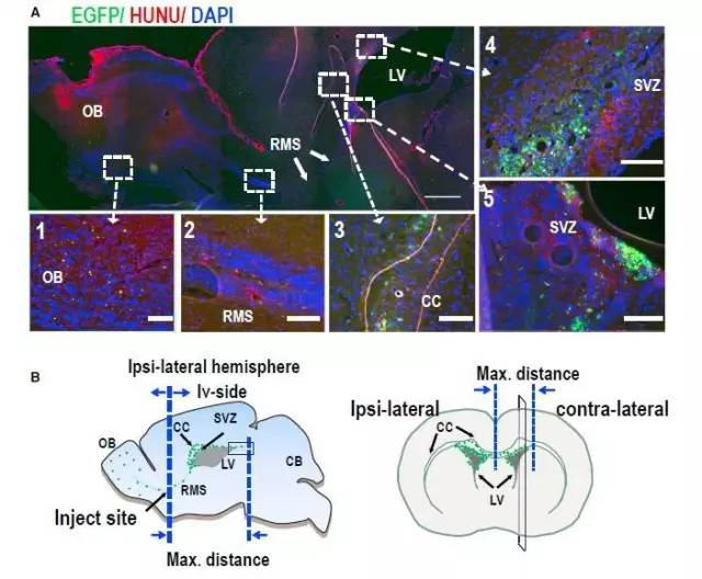 1531991645712162Ffc1.png 圖片31.png