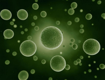 1531997124953904GpwG.png 90.png