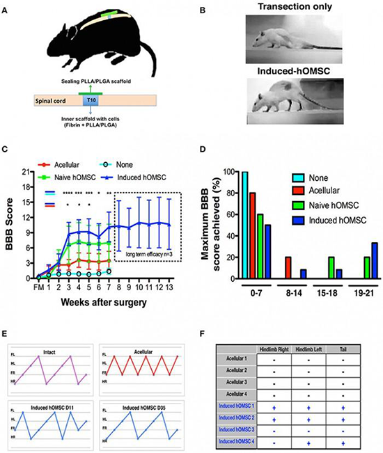 1532046209273313VLHJ.png 圖片31.png