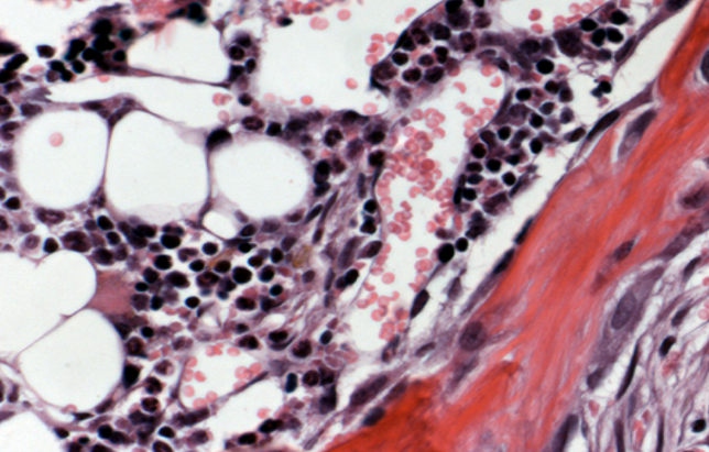 1532047850634395zg5i.png 圖片39.png