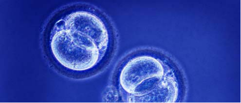 15320547482952539Tq3.png 12.png