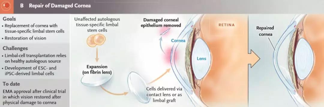 1557363436105377EOLH.jpg 微信圖片_20190509085700.jpg