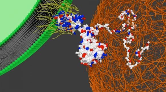 1566874451992913C2ML.jpg 20190704222023979.jpg