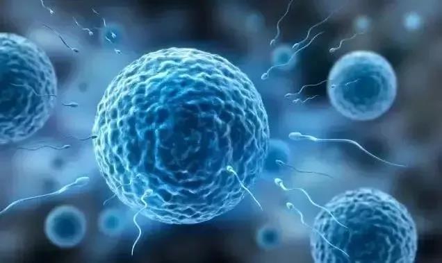 1571704480210253OVdl.jpg 微信圖片_20191022083404.jpg